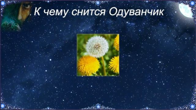К чему снится Одуванчик (Сонник) смотреть онлайн