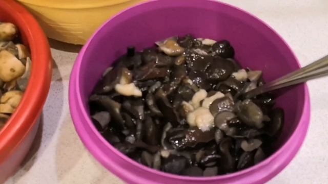 Как заморозить грибы. Грибы растут на газоне смотреть онлайн