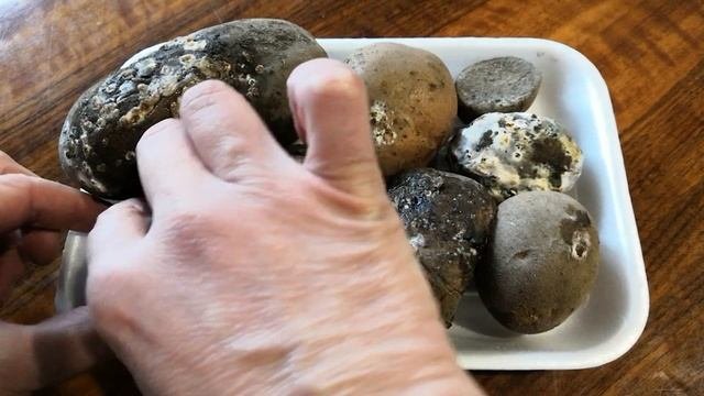 Как правильно хранить картофель. Советы специалиста