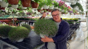 Чудо чудное! Ампельная гипсофила!