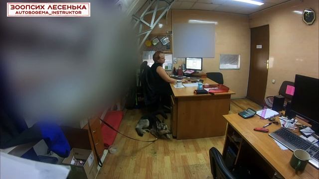 Анфиска. Необычная тренировка. Иногда нужно не делать ничего, а просто ждать.