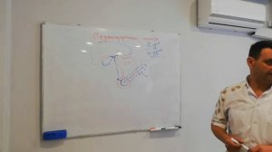 Поджелудочная железа