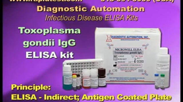 Toxoplasma gondii IgG Toxo IgG ELISA kit смотреть онлайн