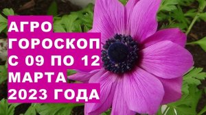 Агрогороскоп с 09 по 12 марта 2023 года. Агрогороскоп з 09 по 12 березня 2023 року