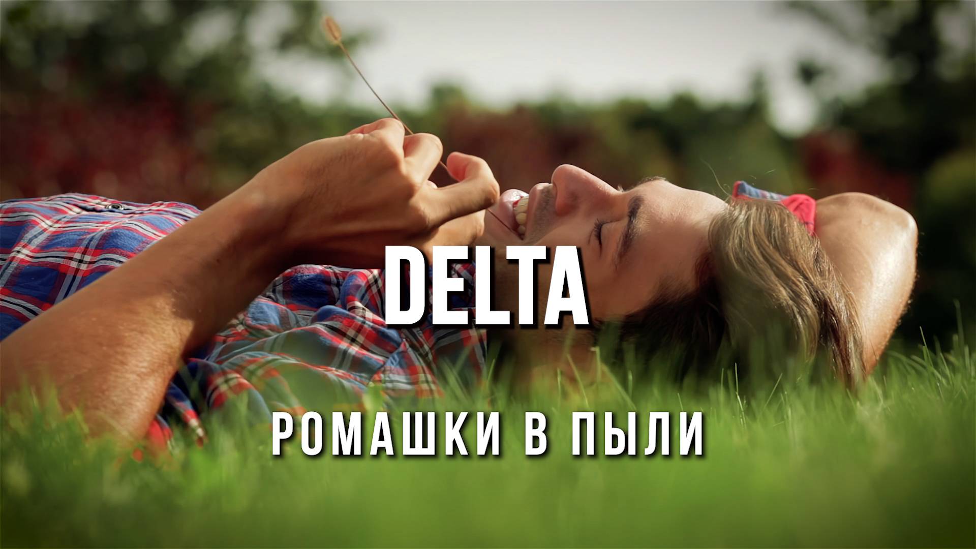 DELTA - Ромашки в пыли