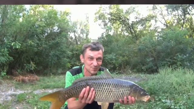 Сазан то, что Вы о нём Не знали. смотреть онлайн