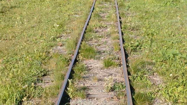 Езда на пионерке УЖД из Берёзовки до ответвлений на Берёзовку ( Берёзовского) и Калач. Узкоколейка.