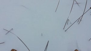 Как я фотографировать ходил. Фото на Nikon D3100