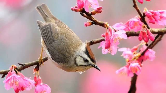Быстрые Займы Киров На Карту смотреть онлайн