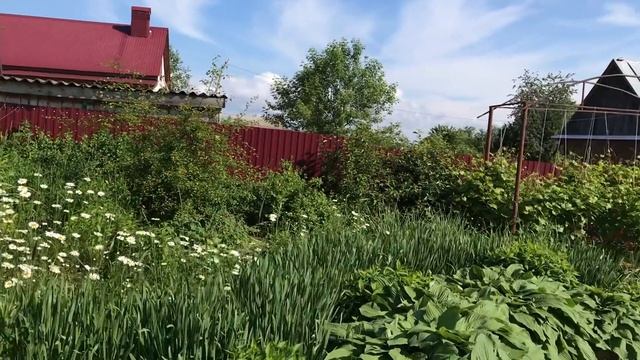 Умный огород 2020. Природное земледелие без подкормки и полива. смотреть онлайн