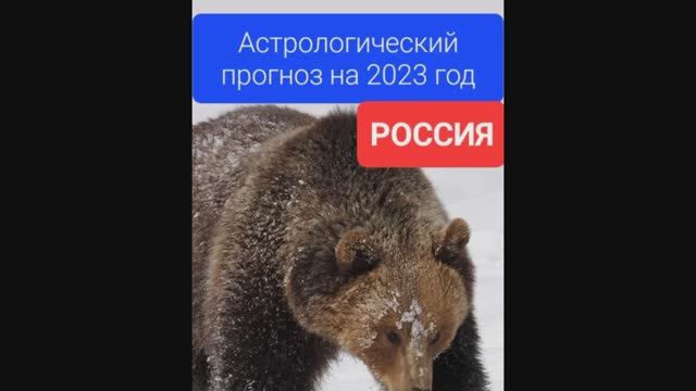 #прогнознагод2023 #гороскоп_на_2023_год