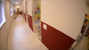 гостиница для собак в москве