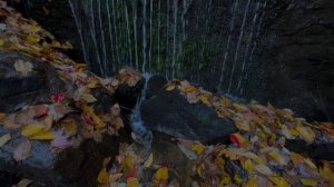 Здоровый сон | Слушайте Божье Слово | Горный ручей | Домик у озера | Легкая музыка | Relaxing