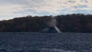 Извержение грязевого вулкана началось в Крымском районе.