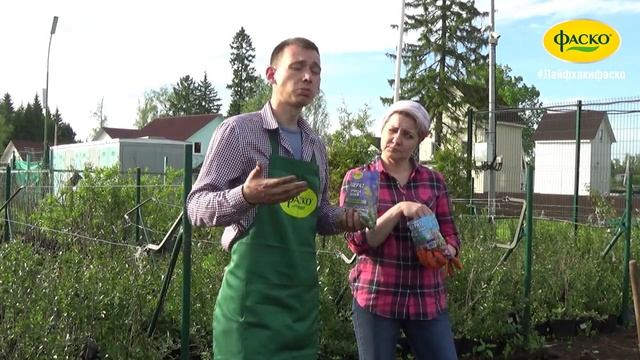 Посев сидератов: когда и зачем смотреть онлайн