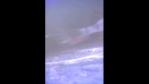Нерест окуня