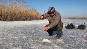 ПРОДУКТИВНЫЙ ПОСЛЕДНИЙ ЛЁД. Густера и вобла на червя. Зимняя рыбалка в феврале. Астраханская область