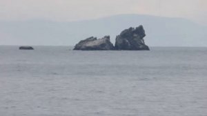 Тест зума ? Panasonic Lumix DMC-FZ72 в пасмурную погоду.