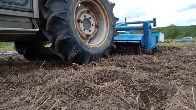 Серая гниль, новые бугры и наконец-то соседские томаты :-) смотреть онлайн