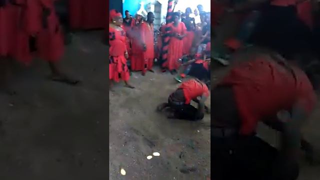 Danse kay granme' mwen jackmel. Nou tap fete similo'.(3) смотреть онлайн