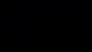 "Мы маленькие свечи" (Е.Каверина) - вальдорфские рождественские песни