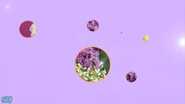 МАЙ С ДНЕМ РОЖДЕНИЯ Happy Birthday Красивое поздравление на День рождения Музыкальная видео открытк