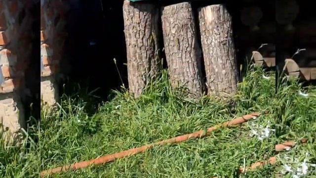 дом утеплен урсой, закачали пеноизол! смотреть онлайн