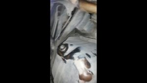 замена масла на субару легаси 1993г.в