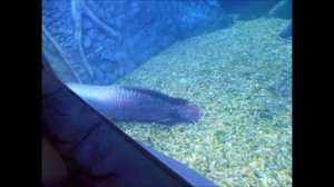 Каникулы.mp4