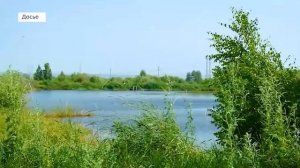 В реку Лена выпустили 50 тысяч мальков хариуса