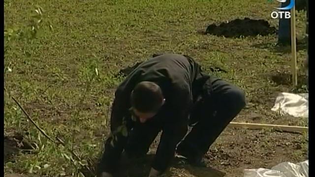 Семейное дерево смотреть онлайн