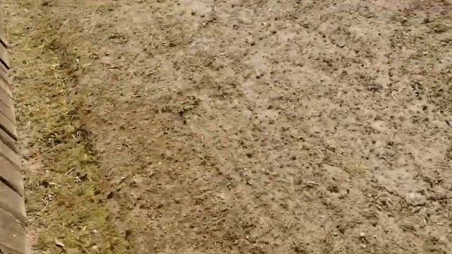 НЕДЕЛЯ ВЛОГОВ/СПОР НА ВОЛОСЫ/ЧЕМ ВСЁ ЗАКОНЧИТСЯ/Evelina Panda 🐼 смотреть онлайн