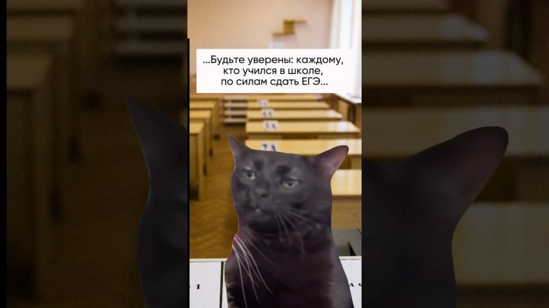 Хочешь бесплатно подготовиться к ЕГЭ на 85+ баллов?  Пиши ЕГЭ нашему боту - ссылка в описании