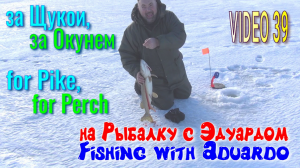 Интересная Зимняя Рыбалка на Жерлицы. На Рыбалку с Эдуардом VIDEO 39. Приятный Результат.