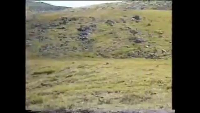 Белуха глазами моей "Соньки" часть 1 смотреть онлайн