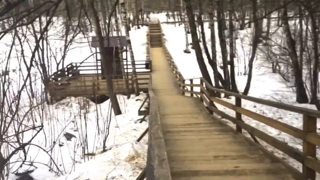 YZAO ЛЕСОПАРК ТРОПАРЕВО-НИКУЛИНО смотреть онлайн