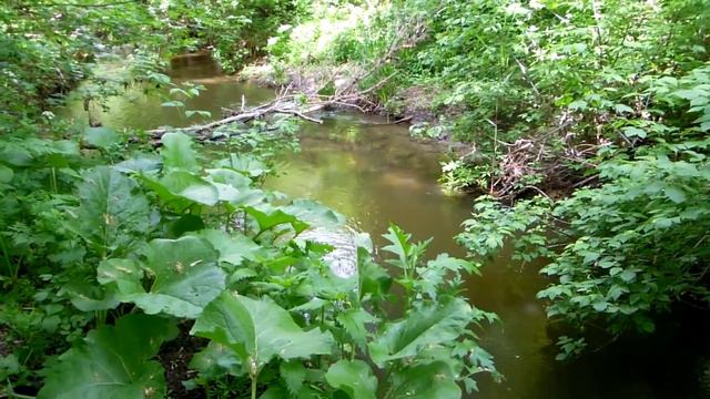"Бывают дни..." = Видеостихотворение смотреть онлайн