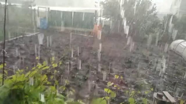 Бог услышал мои молитвы ... ?️?️⛈️ смотреть онлайн