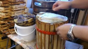 Пчеловодство в Англии. Выпресовка вереского меда.