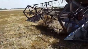 Комбайн НИВА СК 5М 1 уборка пшеницы