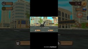 Холявные акк в cat sim на бессмертие и лвл 200.999!!!!!!