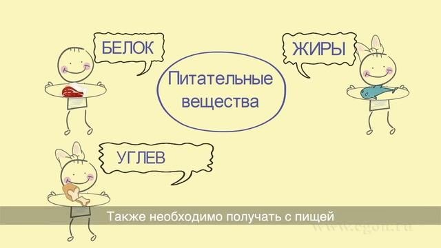 Урок здоровья. Обучающее видео