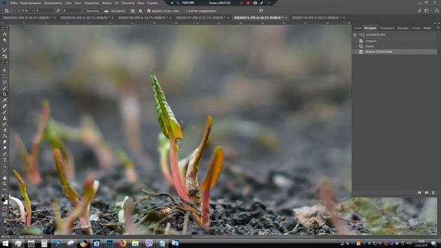 Обработка весенних фото смотреть онлайн