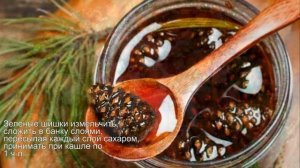 Целебные свойства зеленых шишек сосны, когда и как собирать Сосновый мед и лечебное сосновое
