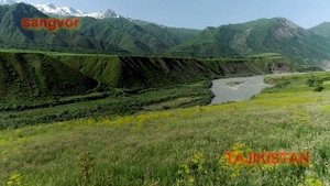 #SANGVOR-2021 (ТАВИЛДАРА) #ТАБИАТИ #ДИЛФИРЕБ