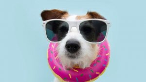 Анекдот про японца в русском ресторане