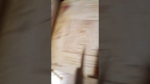 Дневник Гравити Фолз 3 дневник