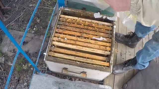 Первые весенние работы на пасеке Пропала матка Исправление безматочных семей смотреть онлайн