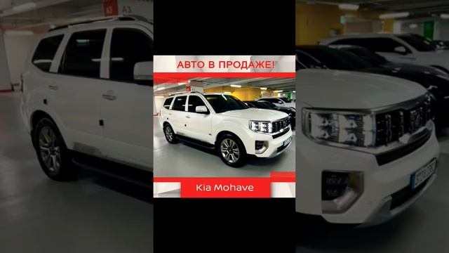 kia #алматы #астана #шымкент #москва #казань #сочи #уфа #tiktok #car #новосибирск #краснодар