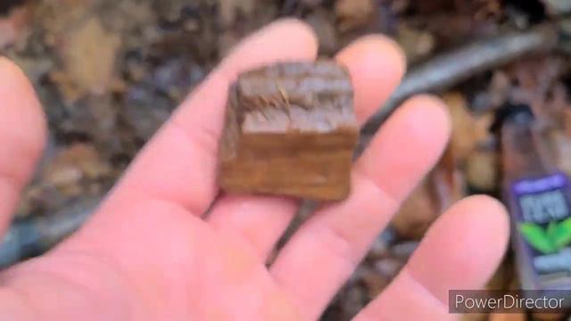 Finding Gold In West Virginia! Mountain Mama Gold!